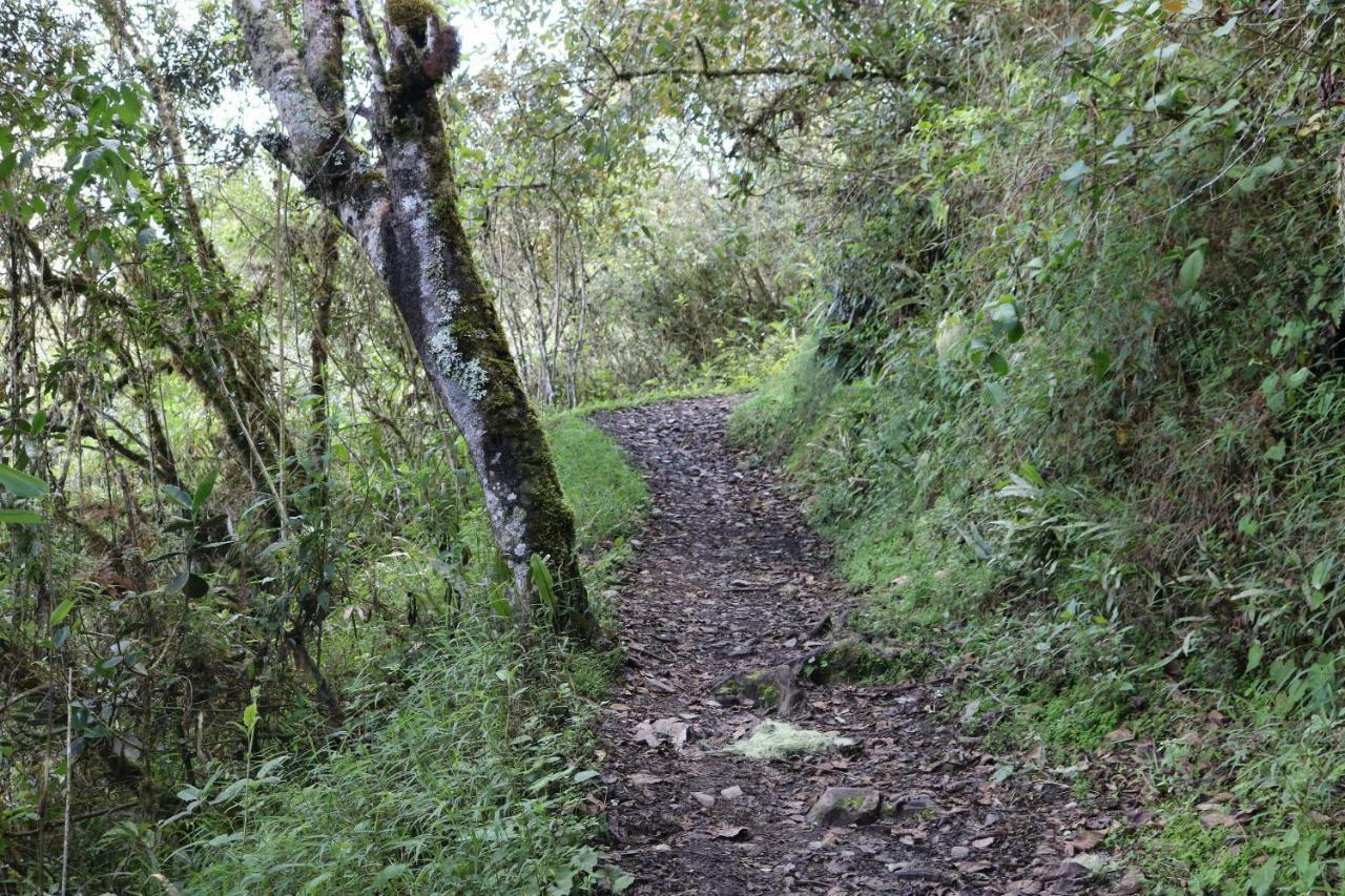 Llactapata Lodge Overlooking Machu Picchu - Camping - Restaurant Salcantay Екстер'єр фото