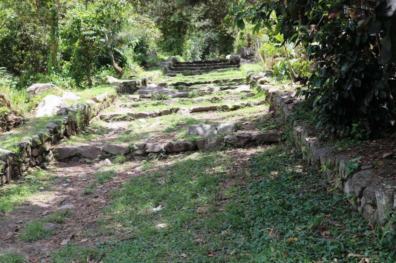 Llactapata Lodge Overlooking Machu Picchu - Camping - Restaurant Salcantay Екстер'єр фото