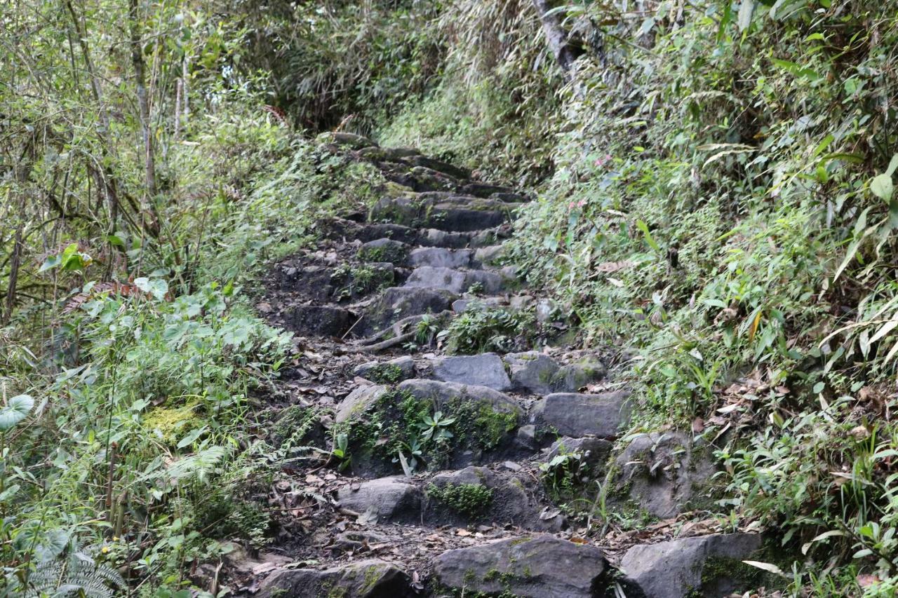 Llactapata Lodge Overlooking Machu Picchu - Camping - Restaurant Salcantay Екстер'єр фото