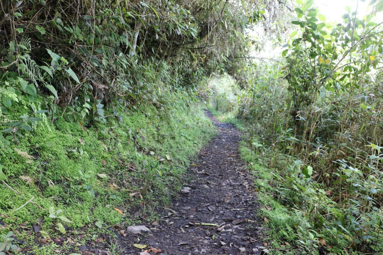 Llactapata Lodge Overlooking Machu Picchu - Camping - Restaurant Salcantay Екстер'єр фото