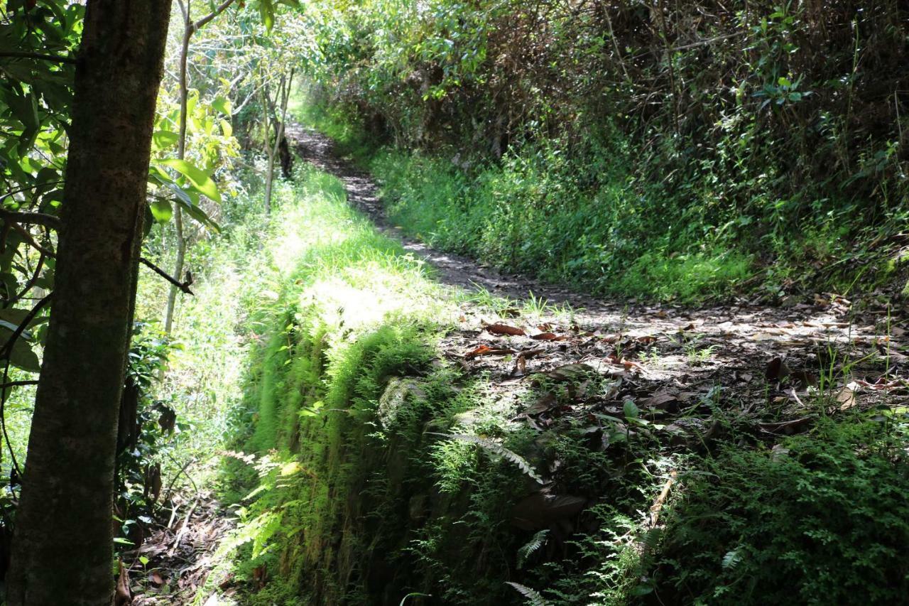 Llactapata Lodge Overlooking Machu Picchu - Camping - Restaurant Salcantay Екстер'єр фото