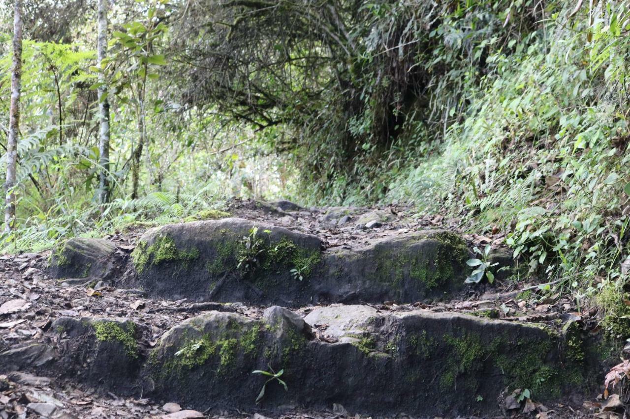 Llactapata Lodge Overlooking Machu Picchu - Camping - Restaurant Salcantay Екстер'єр фото